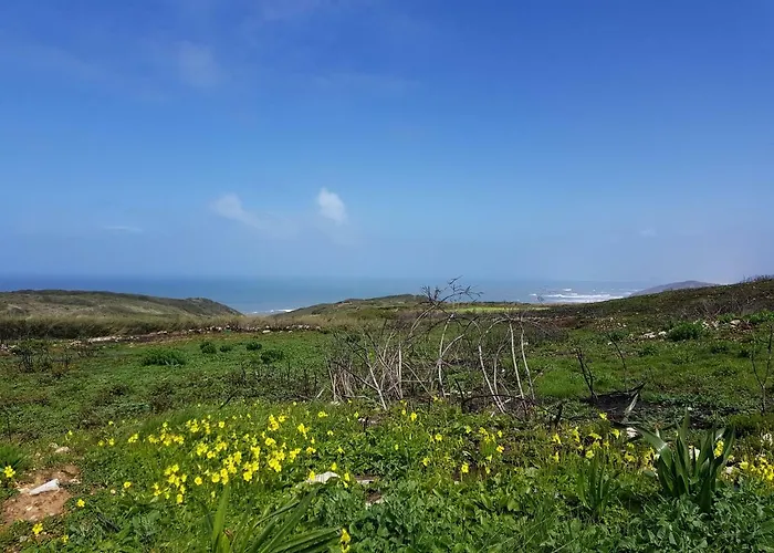 Daire Bela Baia Salir de Porto